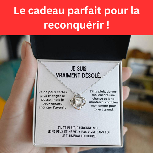 Je suis vraiment désolé. - Cadeau de réconciliation (Presque épuisé!)